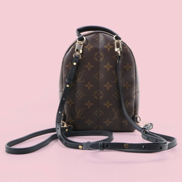 SOLD - Louis Vuitton Palm Springs Mini Backpack - Picture 4 of 11